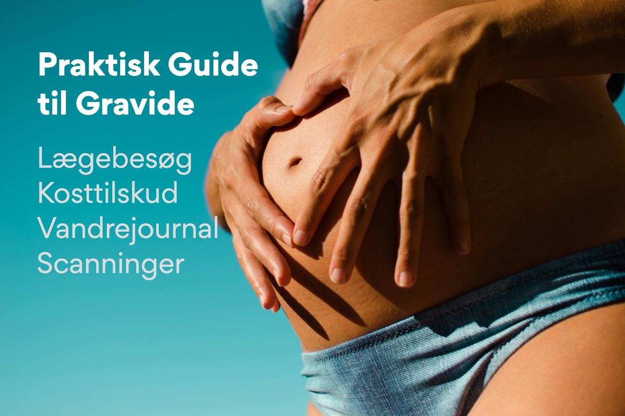 Praktisk Guide til Gravide - Lægebesøg, kosttilskud, vandrejournal & scanninger